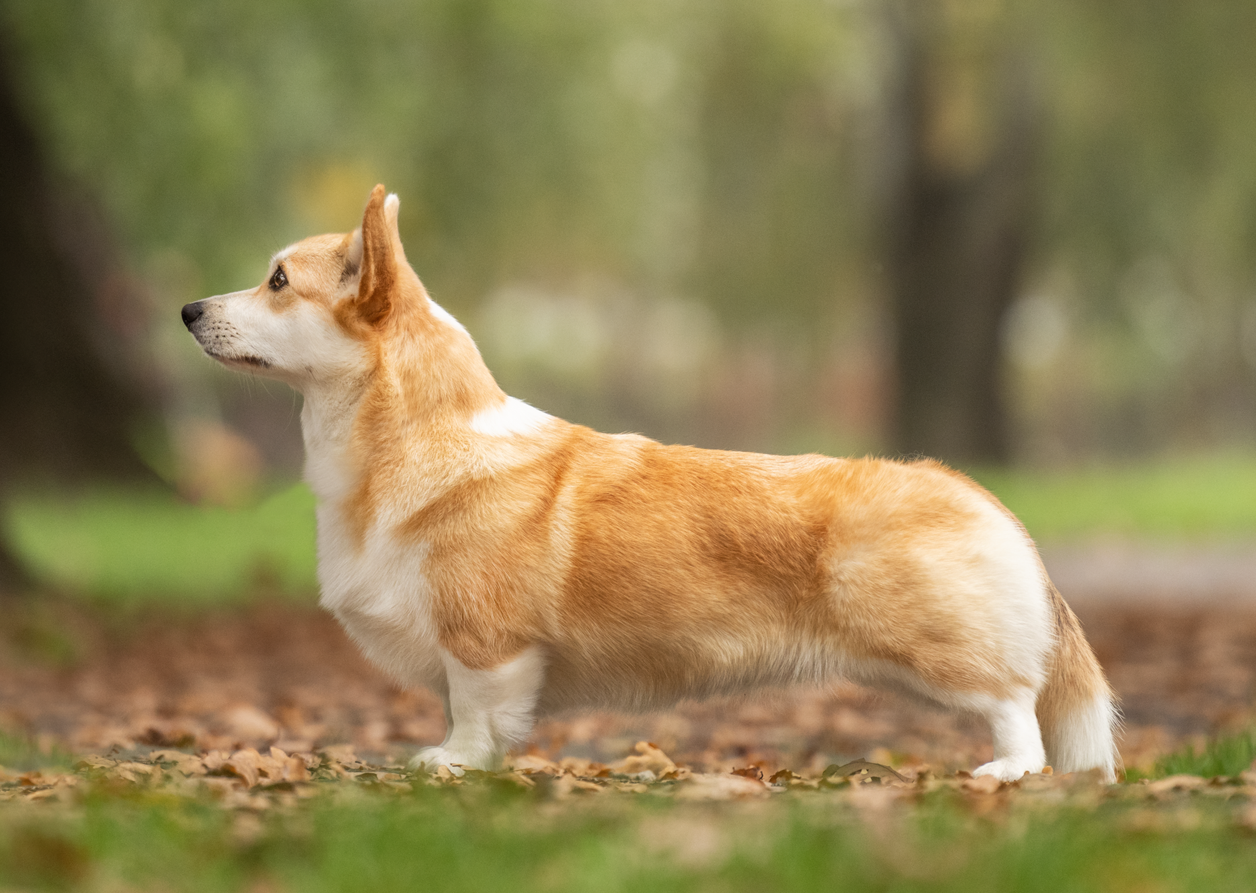 Képernyőfotó 2025-01-30 - 22.59.10